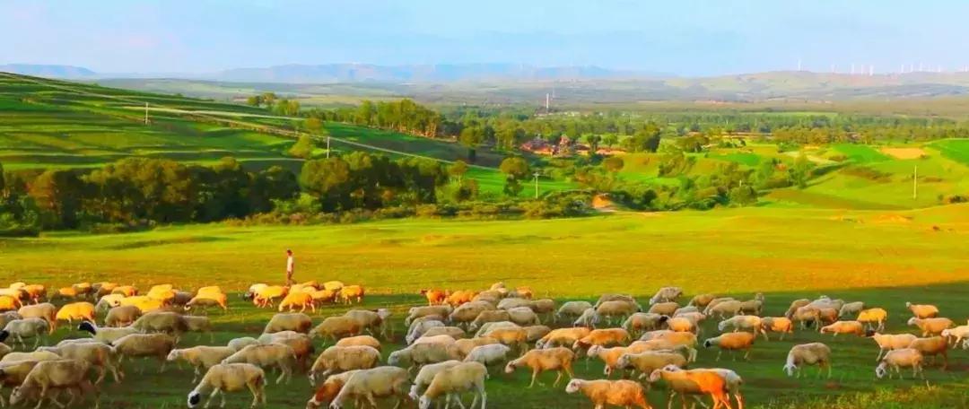 山西震撼视频,山西八分钟惊艳全世界