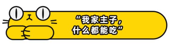 我家猫吞了根针险些丧命，这些东西千万别让猫碰