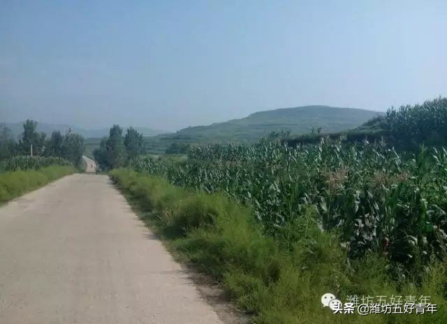 西行纪的最后一集,西行纪最后片段