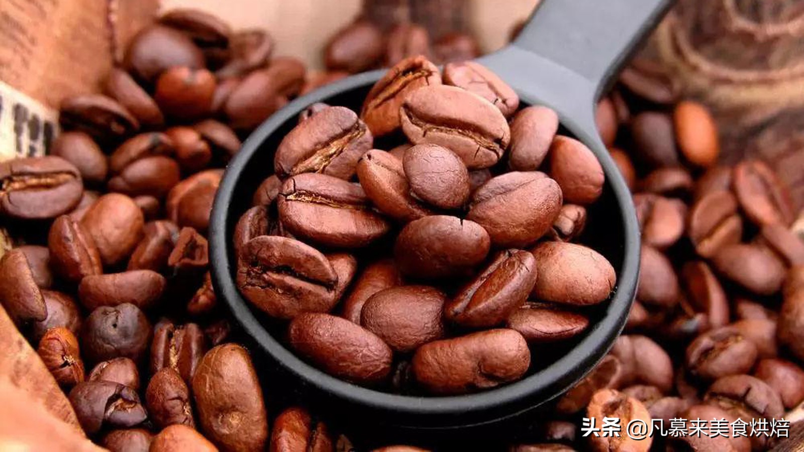 云南咖啡你必须了解的中国好咖啡,云南咖啡高端咖啡