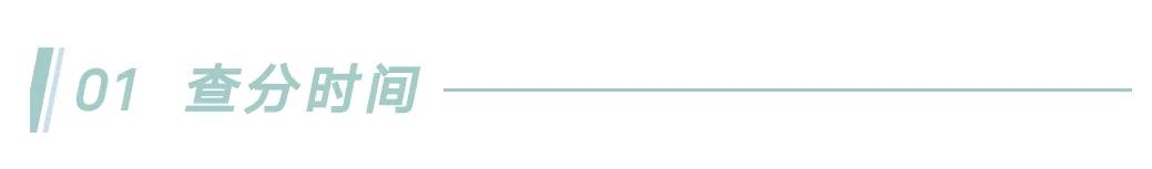 全国大学生英语四六级查分,英语四六级今日查分图片