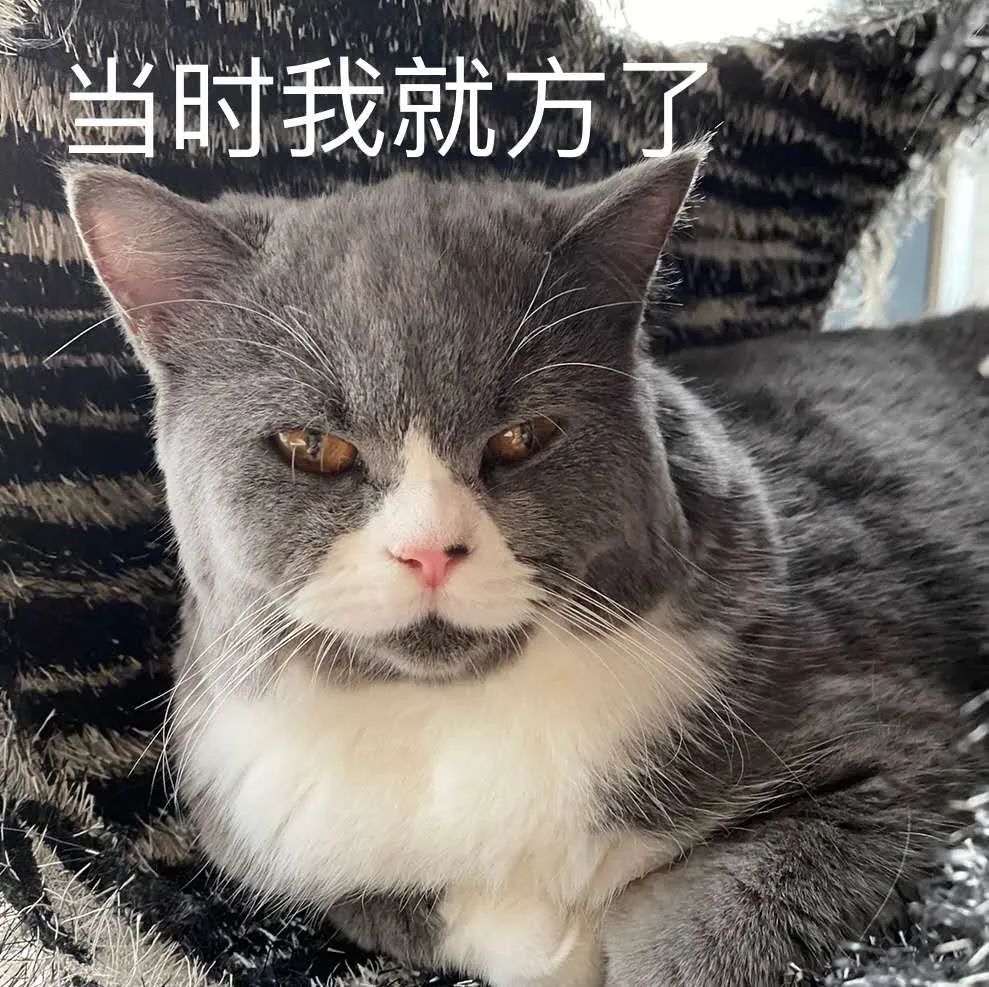 就业推荐表应该写简单点吗,就业推荐表怎么填