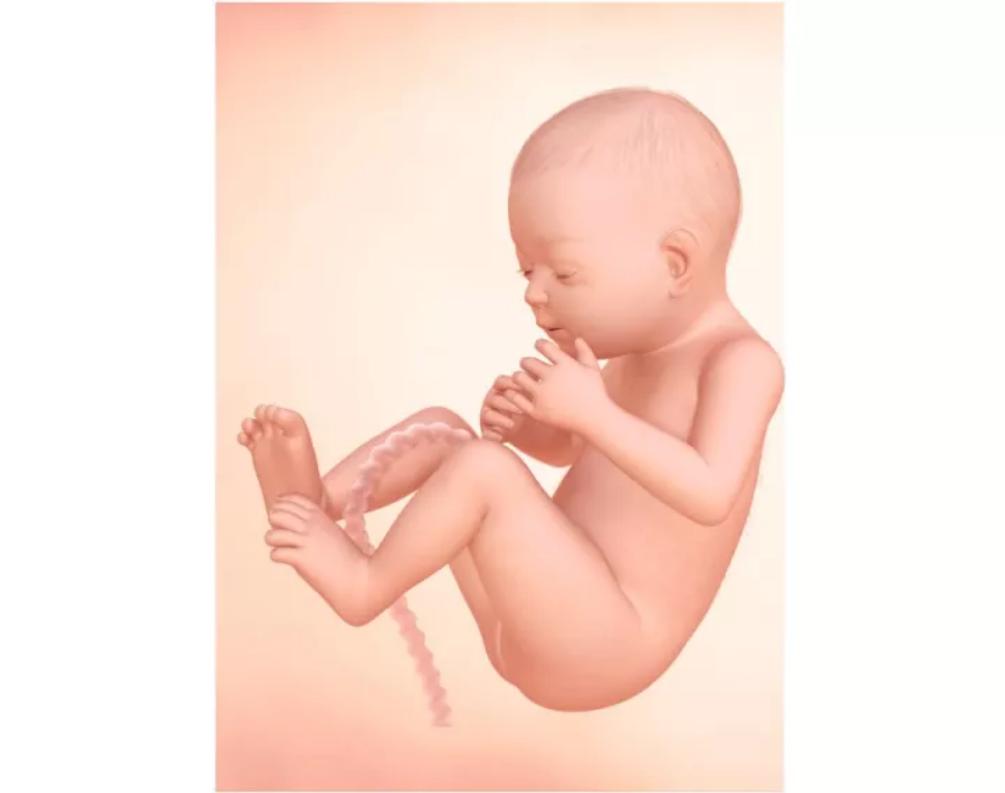 孕期腿抽筋关节骨头咯咯响,孕期腿抽筋对身体有伤害吗