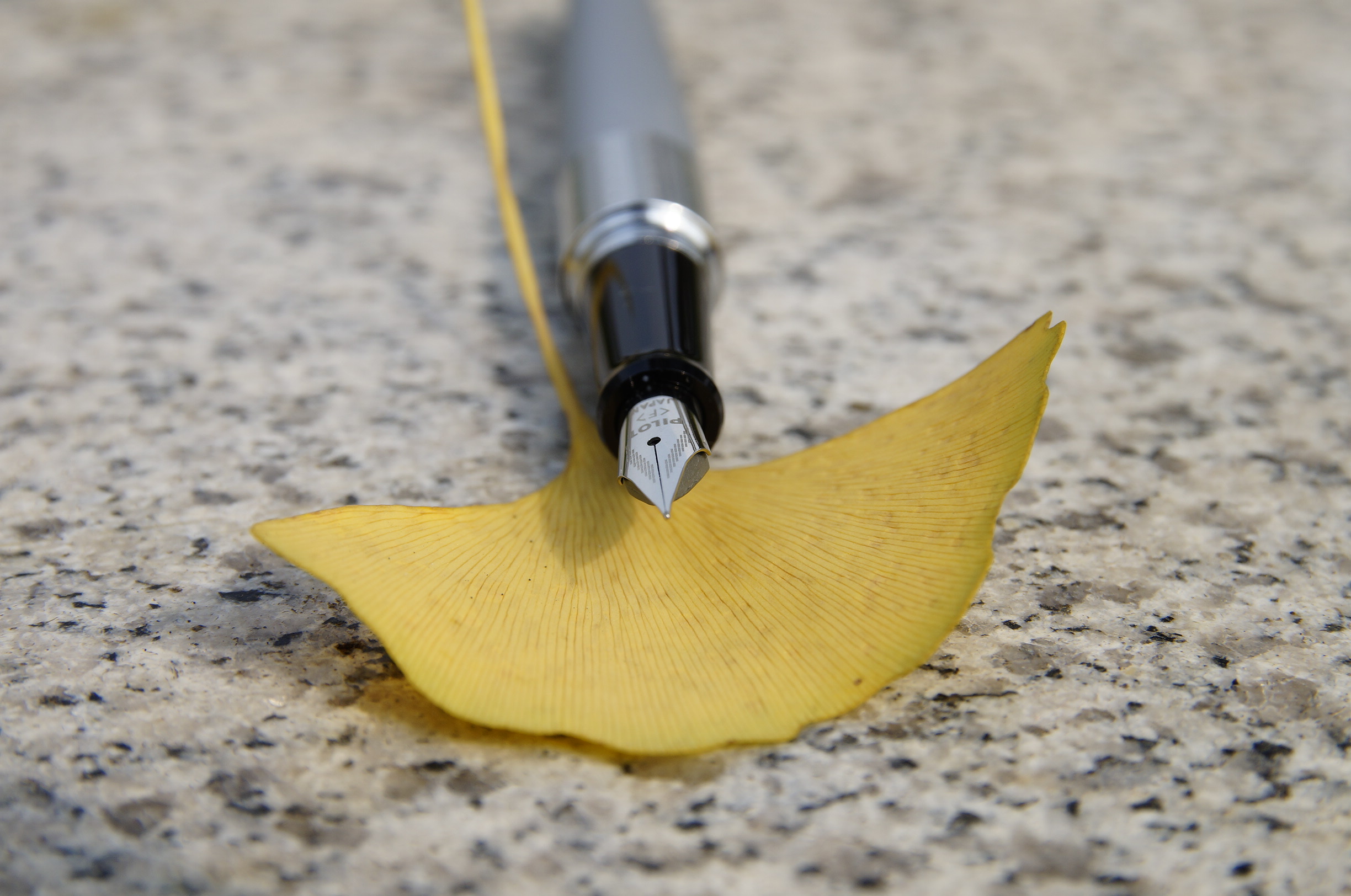 日本pilot百乐88g动物纹钢笔测评,百乐88g钢笔评测