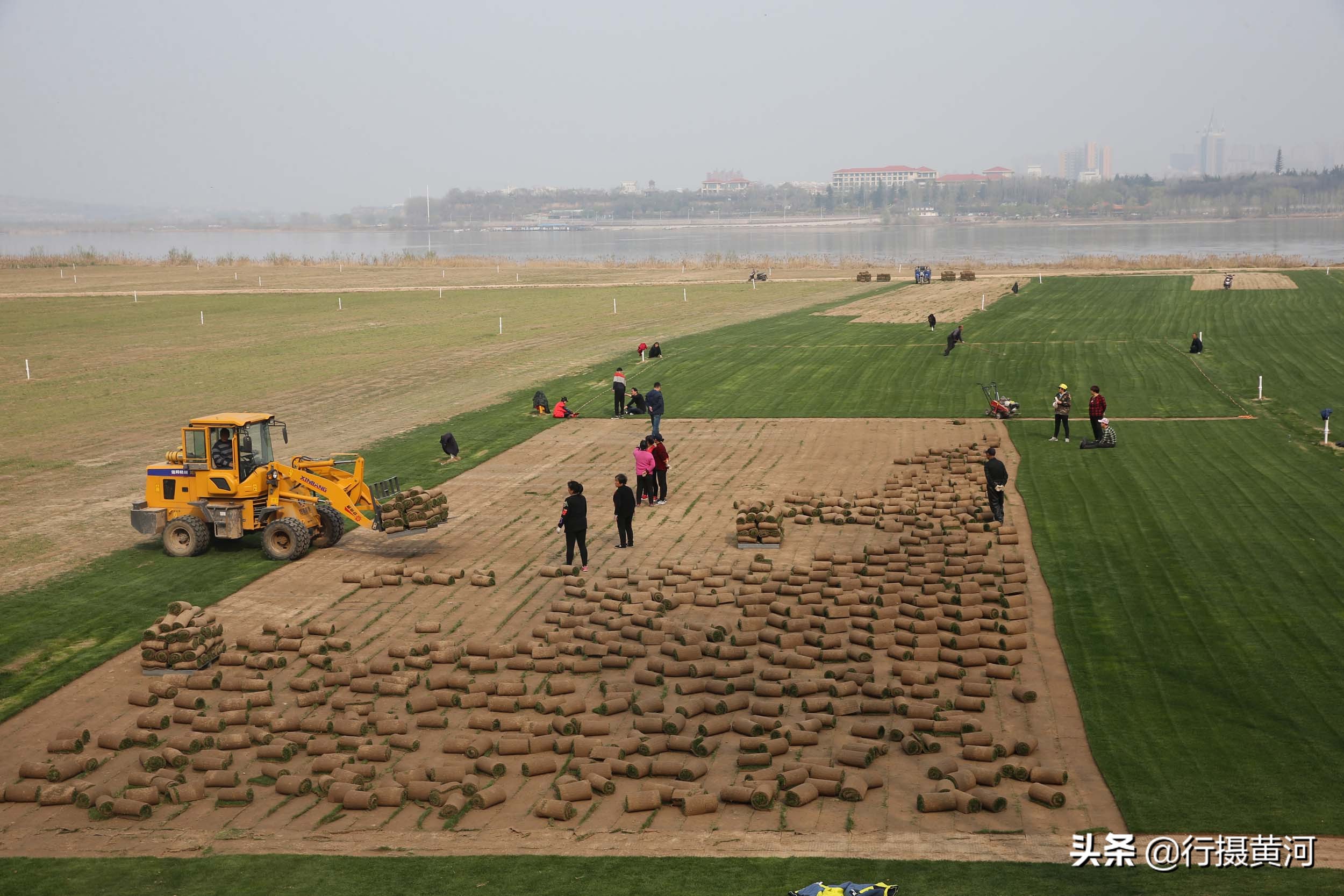 河南一小伙不务正业,小伙不务正业就想卖房卖地