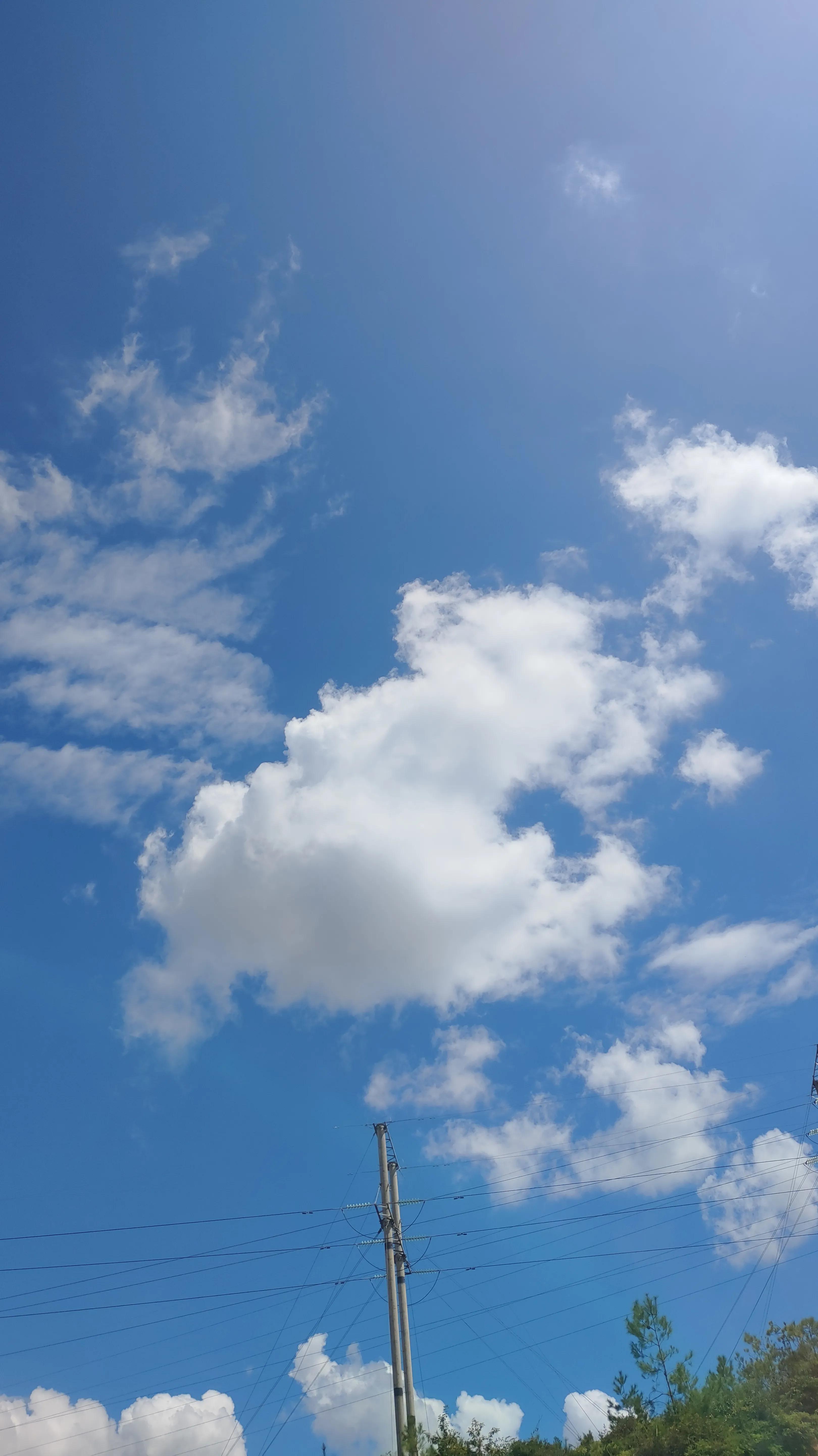 曼珠沙华有毒吗可以治吗 (曼珠沙华真的有这么多颜色吗)