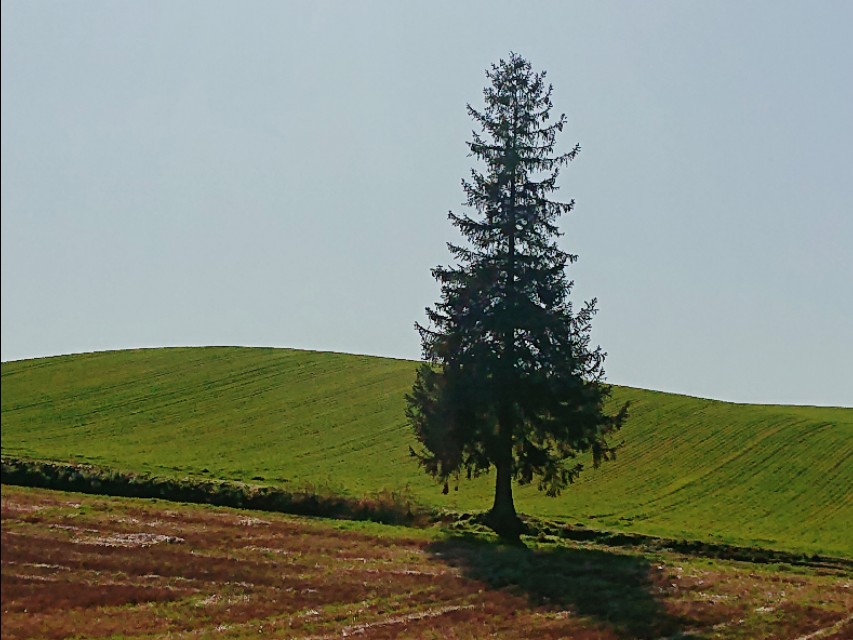 北海道登别到美瑛町需多久,日本北海道美瑛川的雪景