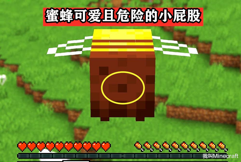 minecraft蜜蜂更新了什么,minecraft蜜蜂维度