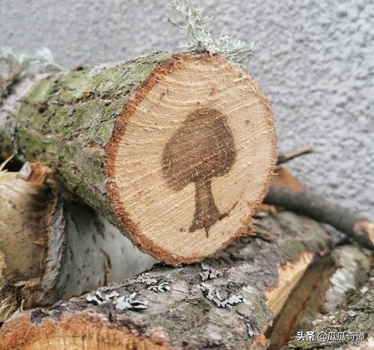 恶魔果实水果性能,恶魔果实图鉴108种属性