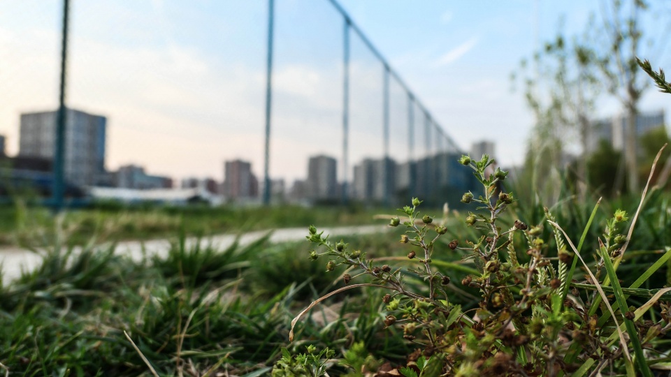 美少女必备vlog美颜相机，松下LX10全搞定