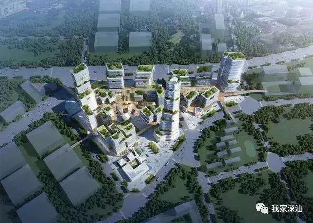 深汕生日快乐,深圳经济特区的生日