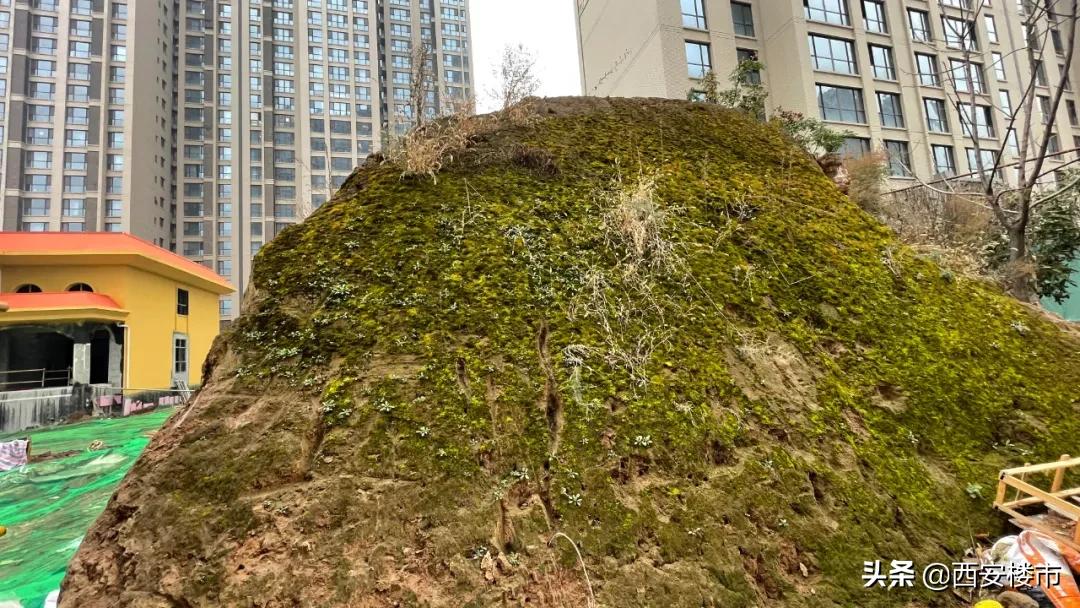 千林郡房价多少钱一平方,曲江千林郡2万左右房