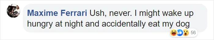 宜家小床被铲屎官们变成宠物床，日本网友：我“泡面杯床”不服