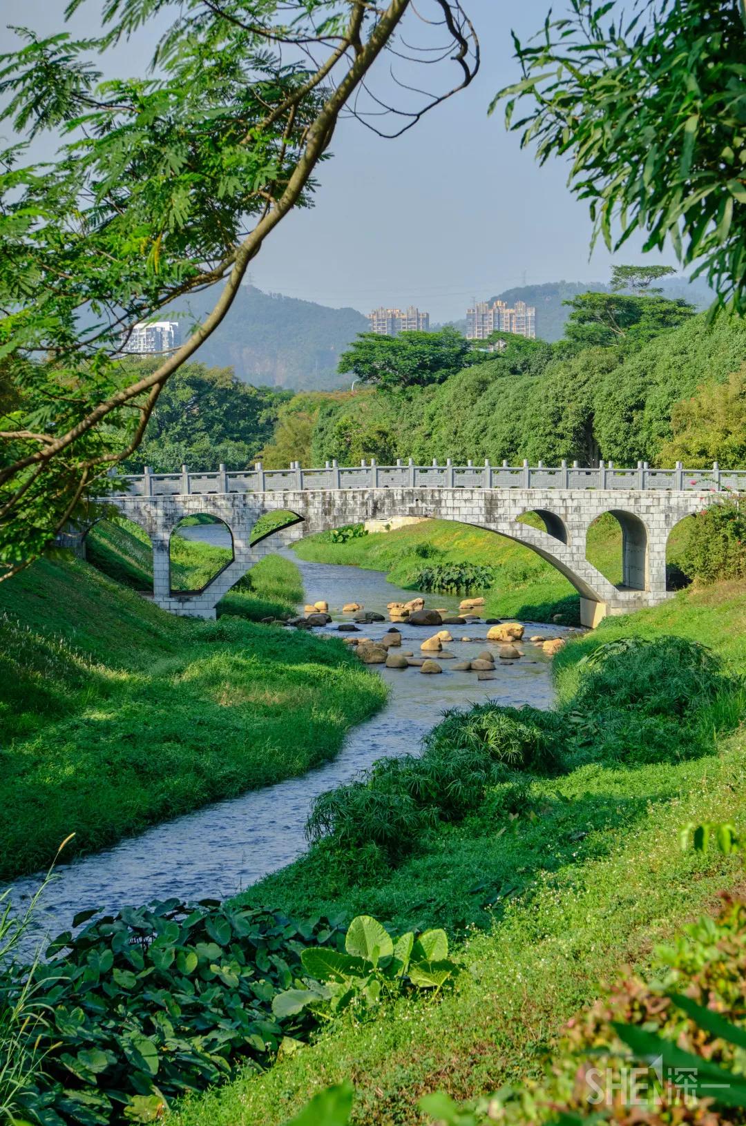 深圳这10条绿道你去过没,深圳十大绿道排行榜