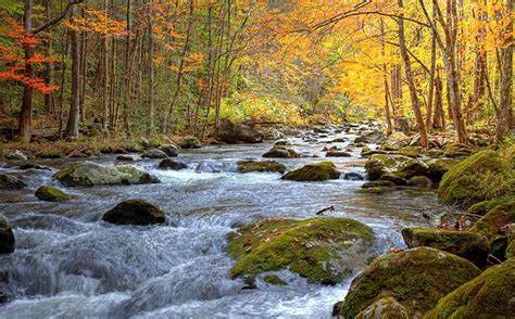 下肢静脉曲张出现皮疹用药,下肢瘙痒起疹子