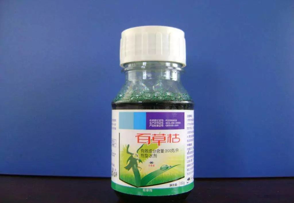百草枯到底多可怕,百草枯多少会失去毒性