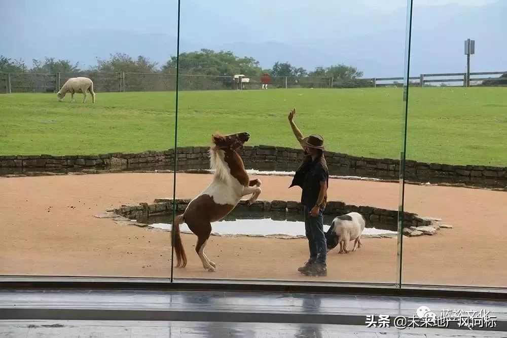 母亲牧场要玩多久,低成本花园家庭农场亲子乐园