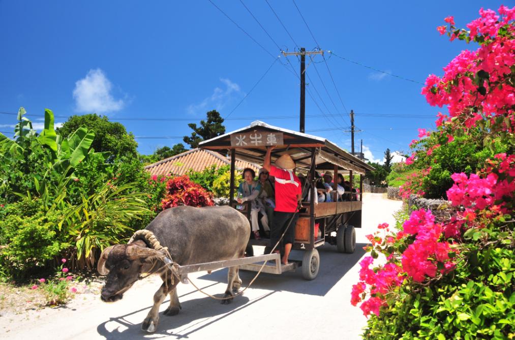 六天五晚的纯玩旅游,6天五晚日本游东京跟大阪