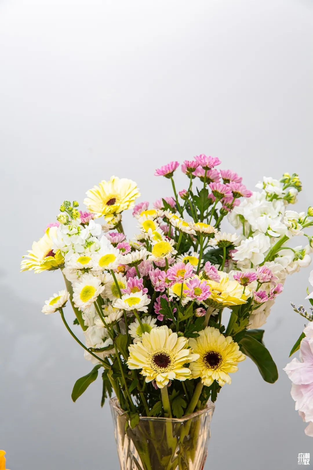 深夜去广州的花卉市场买花,如何逛斗南花卉市场买花便宜