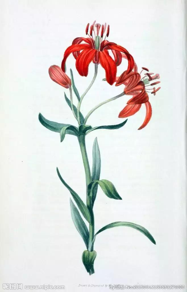 儿歌记生字,生字儿歌趣味教学