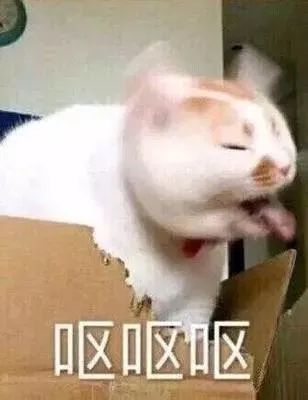 泰国购物必买眼影推荐哪款,泰国必买品牌饰品