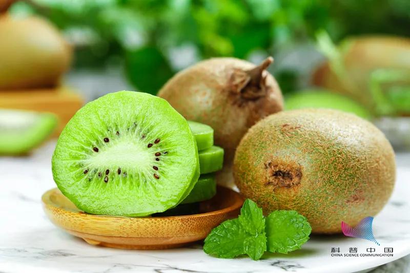 奇异果猕猴桃和车厘子的区别,车厘子和蓝莓菠萝的区别