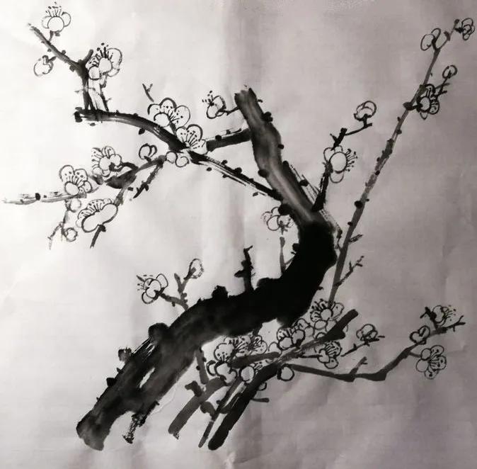 国画写意梅韵教程,大写意梅韵国画