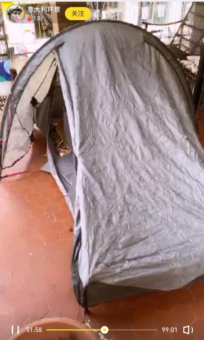 泰国大象因疫情失业徒步返乡视频,疫情过后的大象