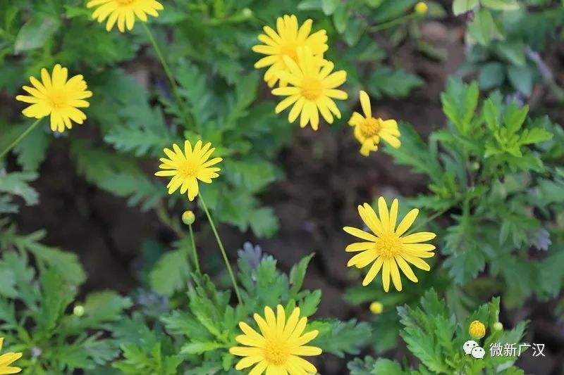 「ONE话题」82亩!北区最大(目前)运动公园将于今年12月底和大家见面