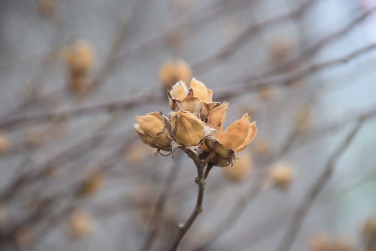 陕西印象装饰有限公司,陕西印象传媒怎么样