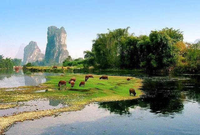 广西传统节日作文二年级,具有广西民族特色的传统节日