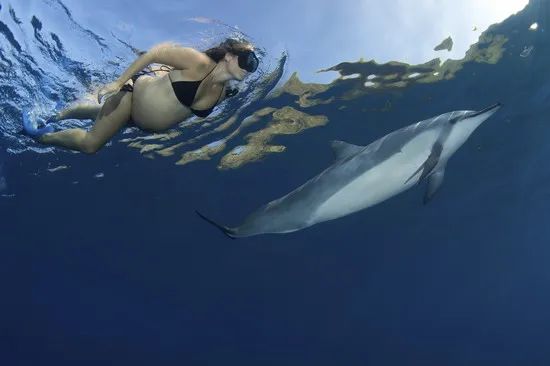 唐艺昕怀孕了还游泳吗,唐艺昕谈孕妇游泳