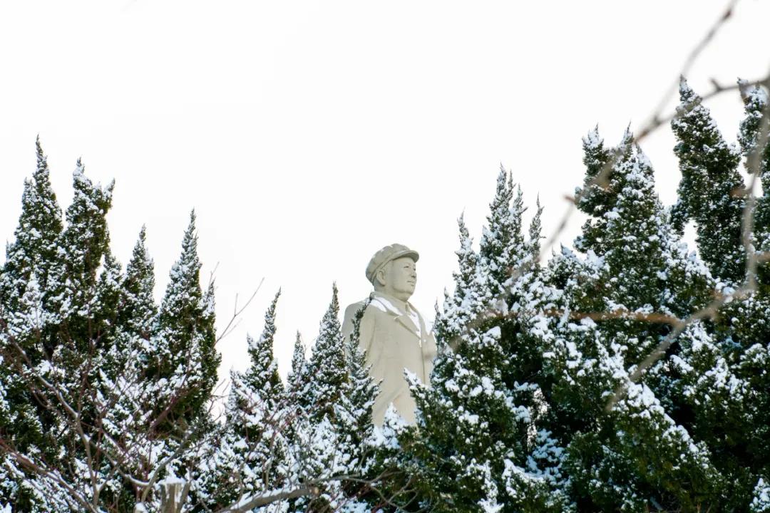内工大初雪,大工山雪景