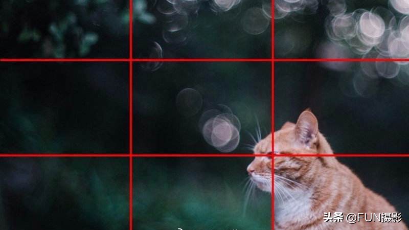 三分构图和中心构图的区别,摄影构图取景技巧教程