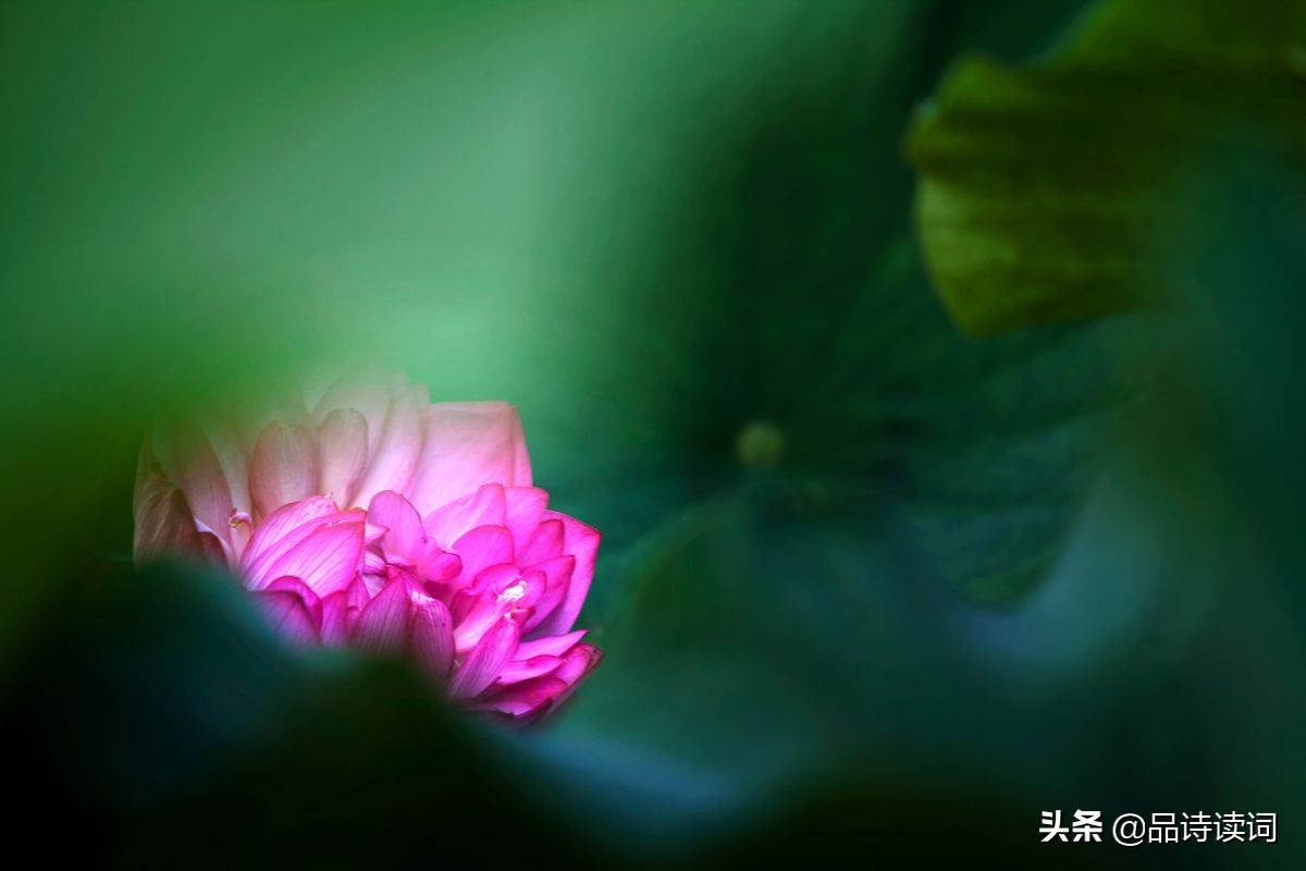 西施是怎样的一个人物,西施罗隐解读