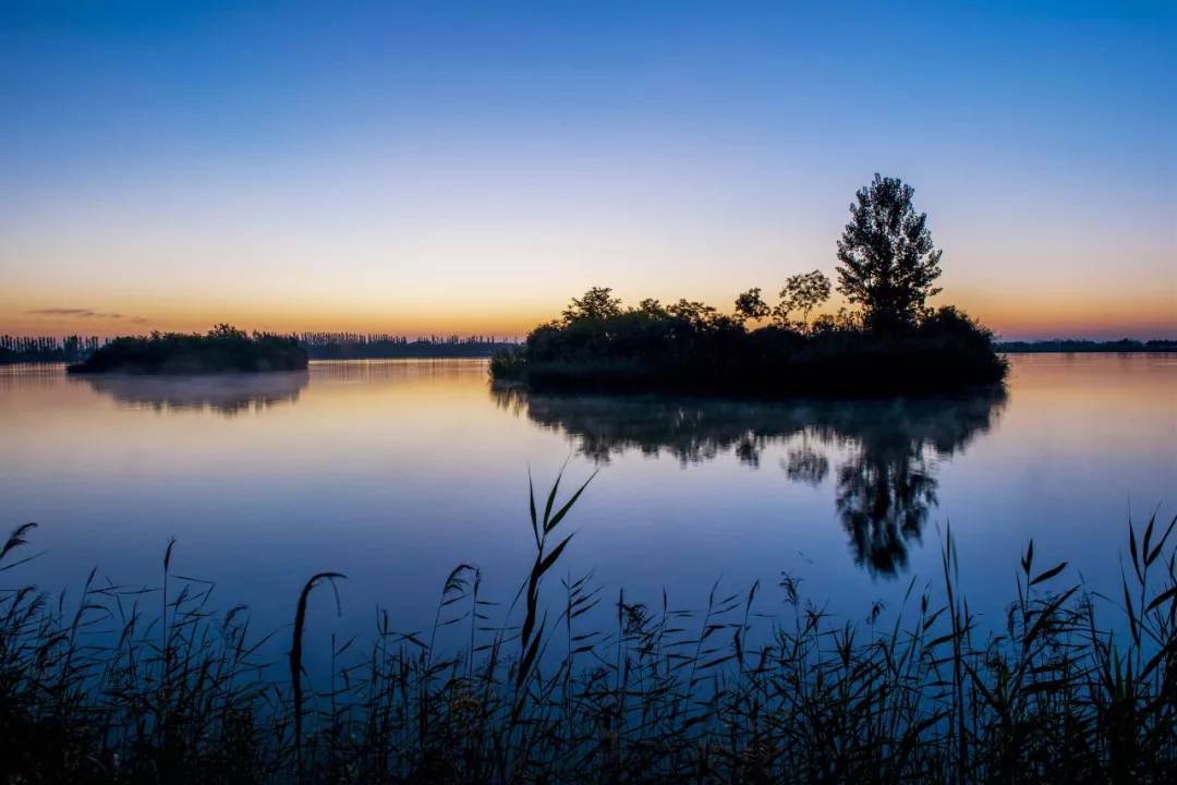 中卫金沙岛风景点介绍,中卫金沙岛震撼花海