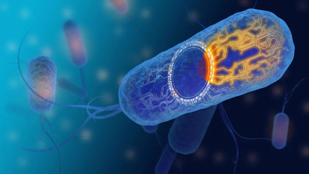 基因改造噬菌体,基因编辑疗法对人类疗效首次证明