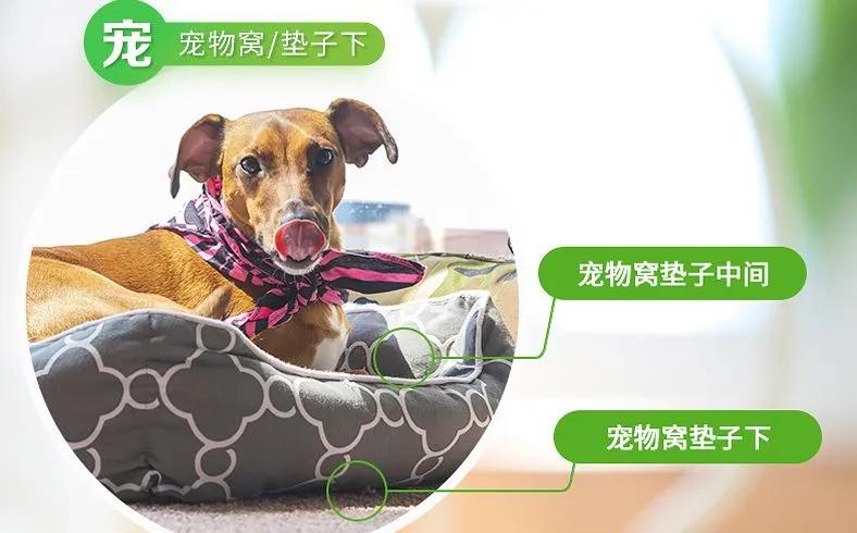 珀婷pertine除螨仪,珀婷除螨喷雾剂测评