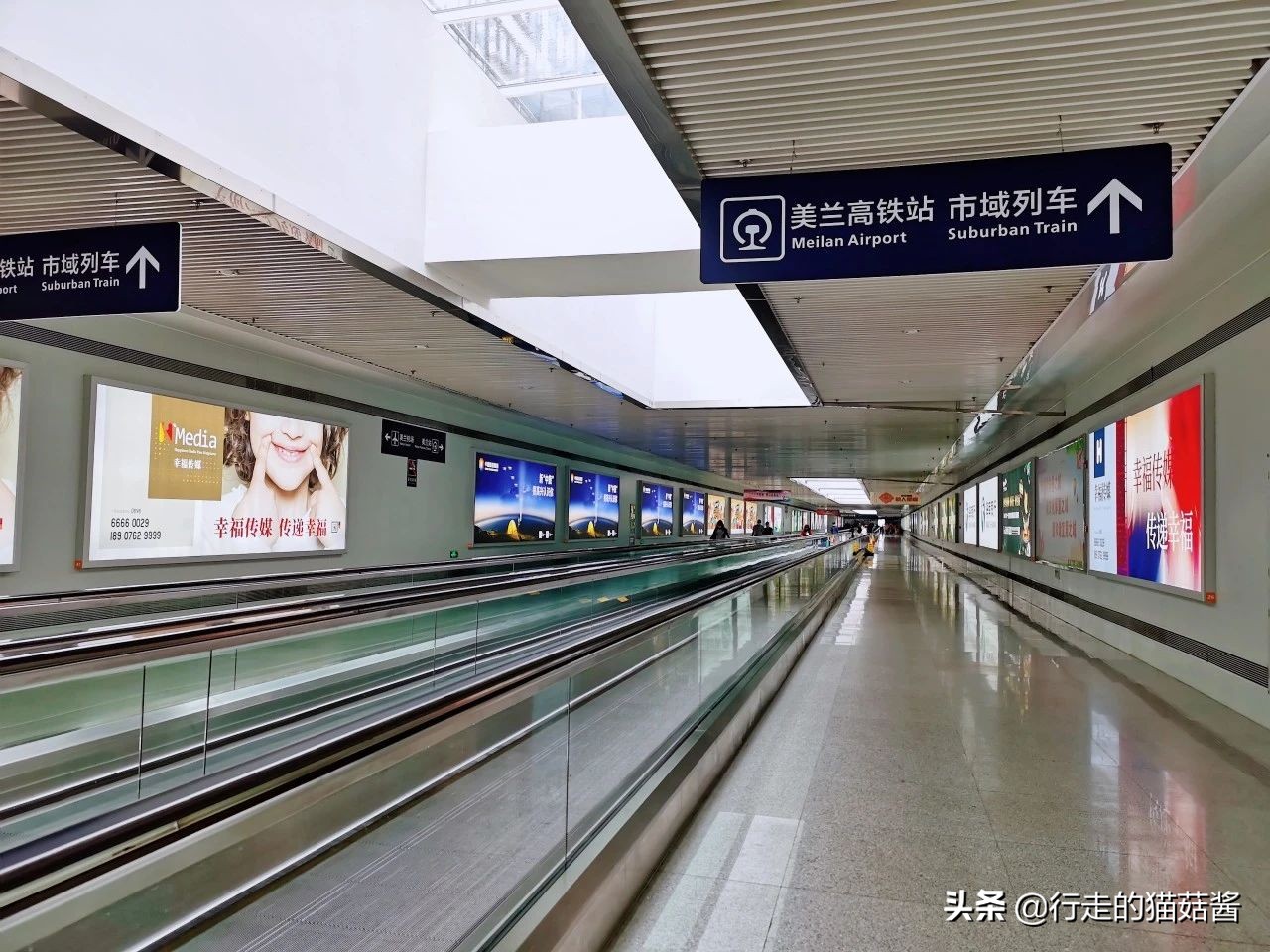 第一次去海南,海南旅游哪里的海鲜最实惠