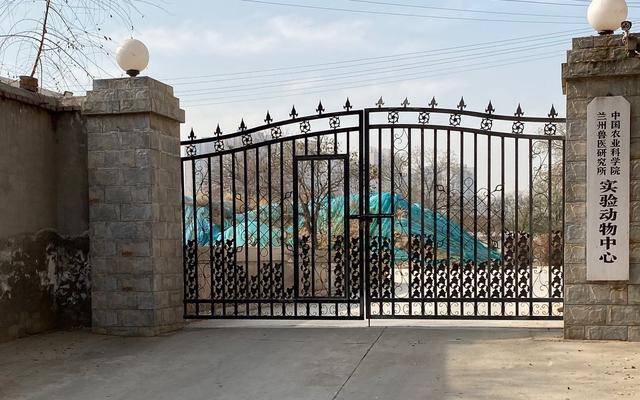 布鲁氏菌纪录片,布鲁氏杆菌和布鲁氏菌的区别