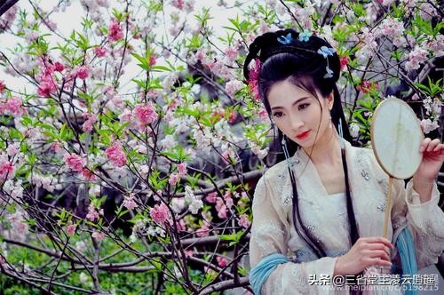 崔护名垂青史的一首诗,崔护人面桃花诗粤语