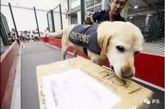 毒犯过安检被抓,警方揭秘毒贩那些精明的藏毒手段