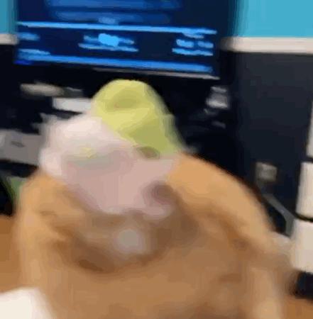 原单的lv是正品吗,比官网便宜的lv是正品吗