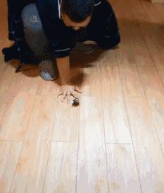 前戏要足，动作要帅，大召唤术