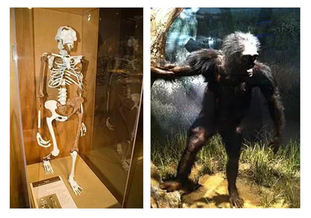 刘丰老师说超体的一句话,刘丰谈超体