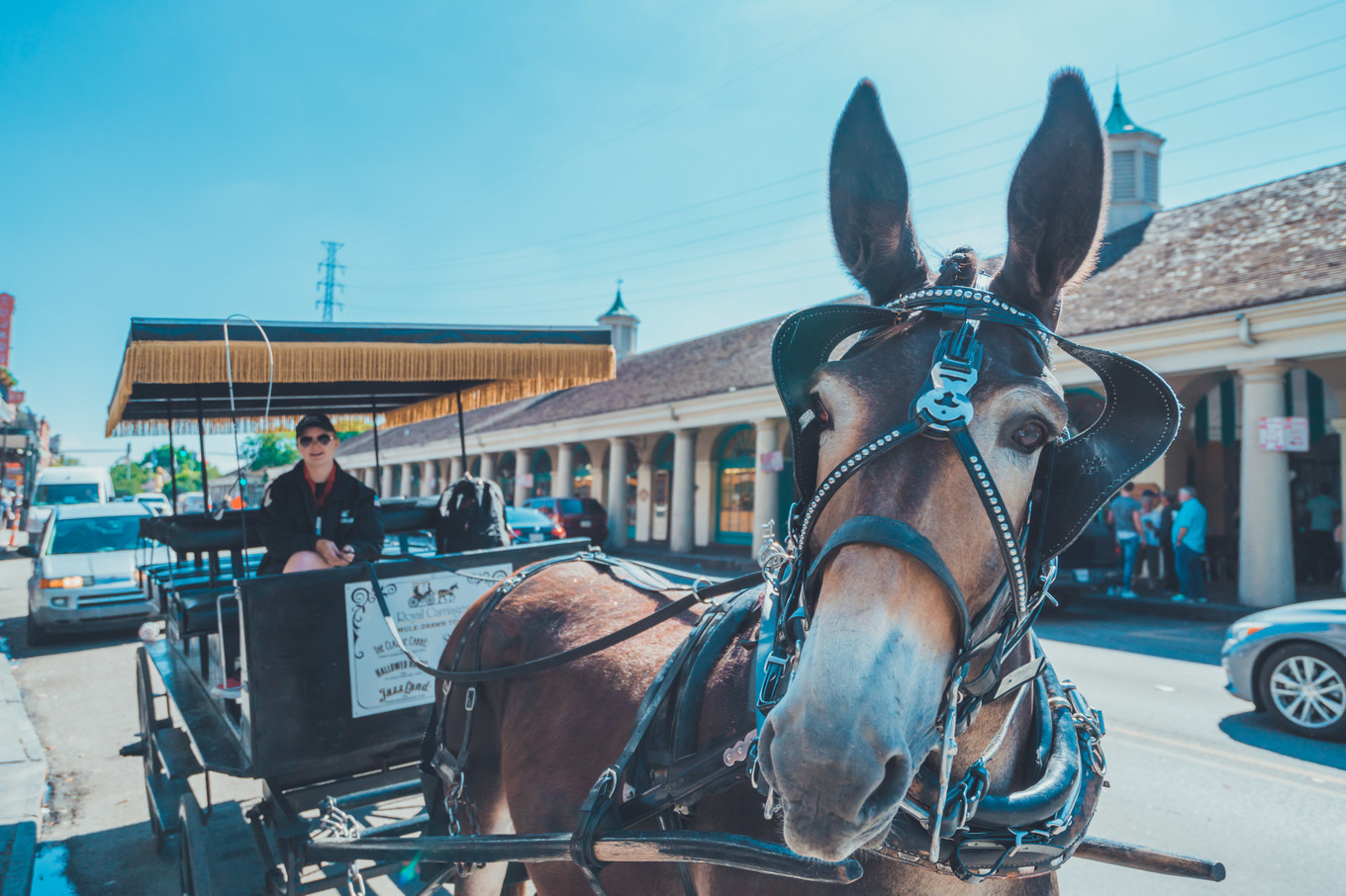 隐藏在美国的法国区，保留法国的部分风俗，却没有法国建筑