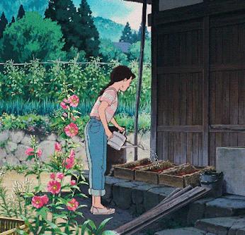 马蹄莲的种植教程,马蹄莲球根种植时间