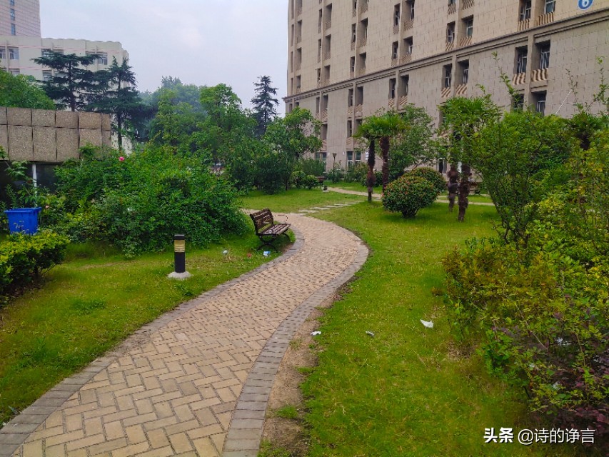 真没想到，这里的生活还很精彩（八）