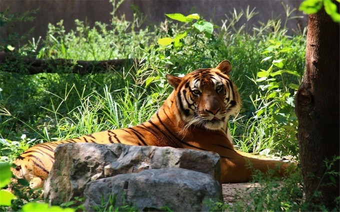 上海地铁附近景点推荐,上海地铁15号线沿线有哪些景点