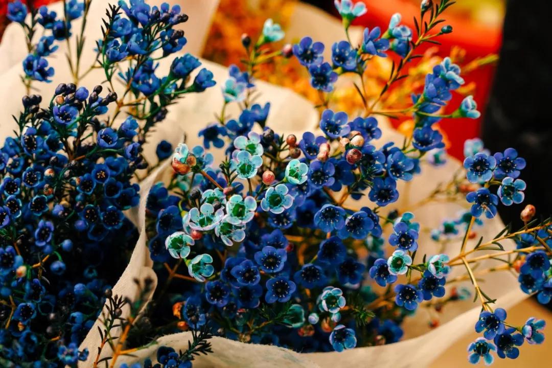 汉中门花市,汉中门花市价格